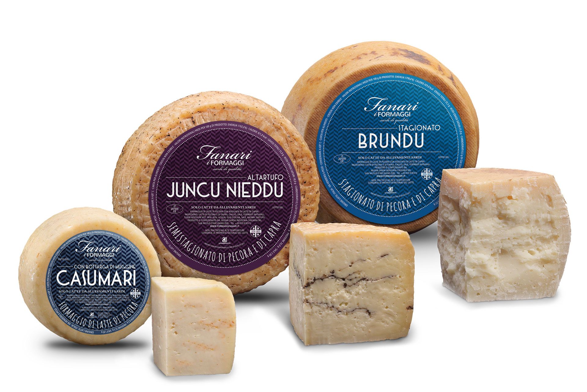 VAN Fanari casu juncu mannu, brundu, casumari