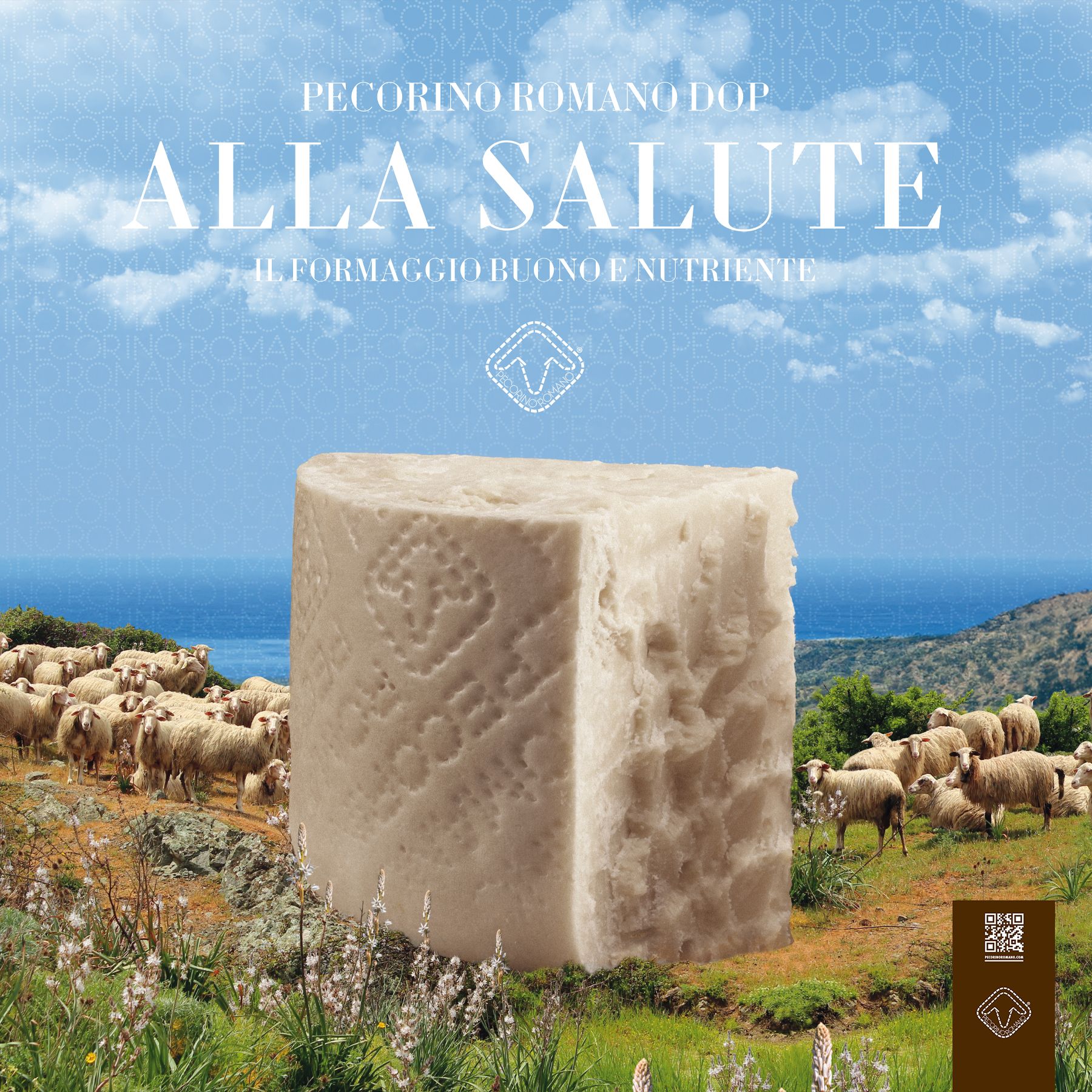pecorino romano dop