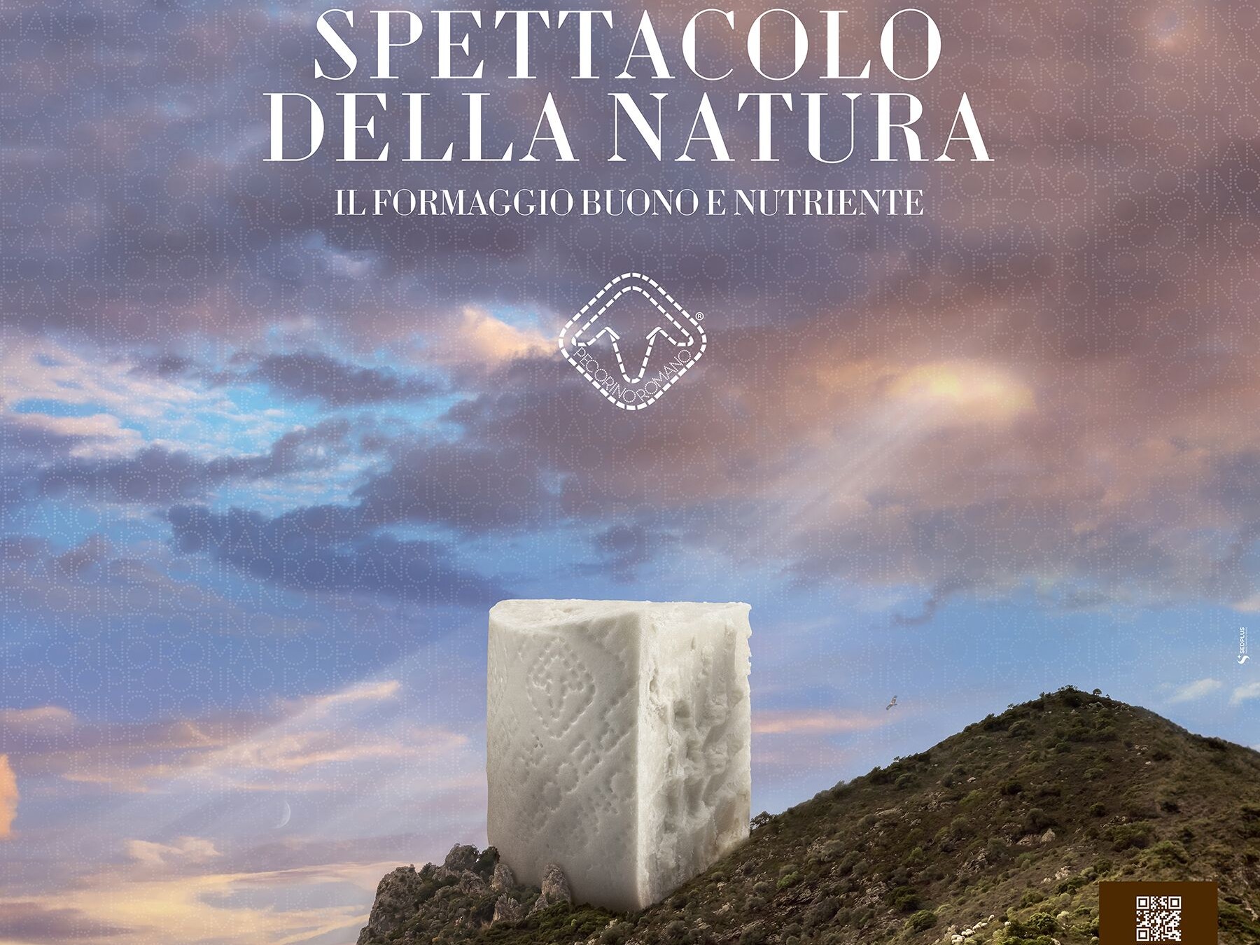 pecorino romano in una montagna.