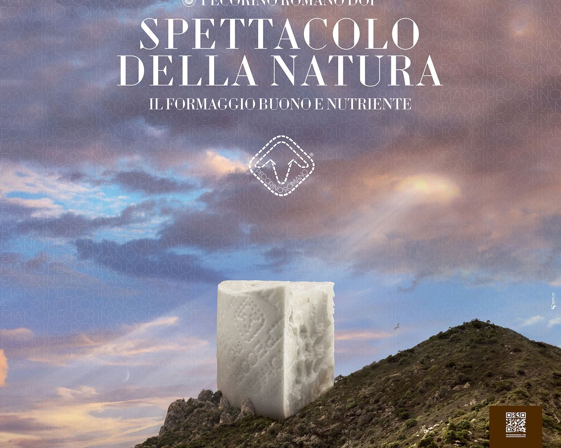 pecorino romano in una montagna.