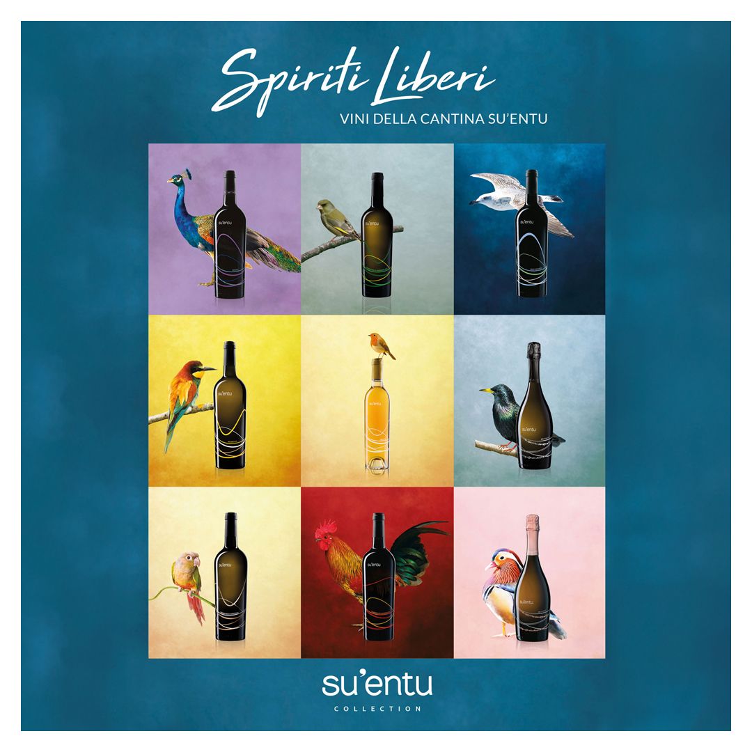 Spiriti Liberi Campagna Su'entu