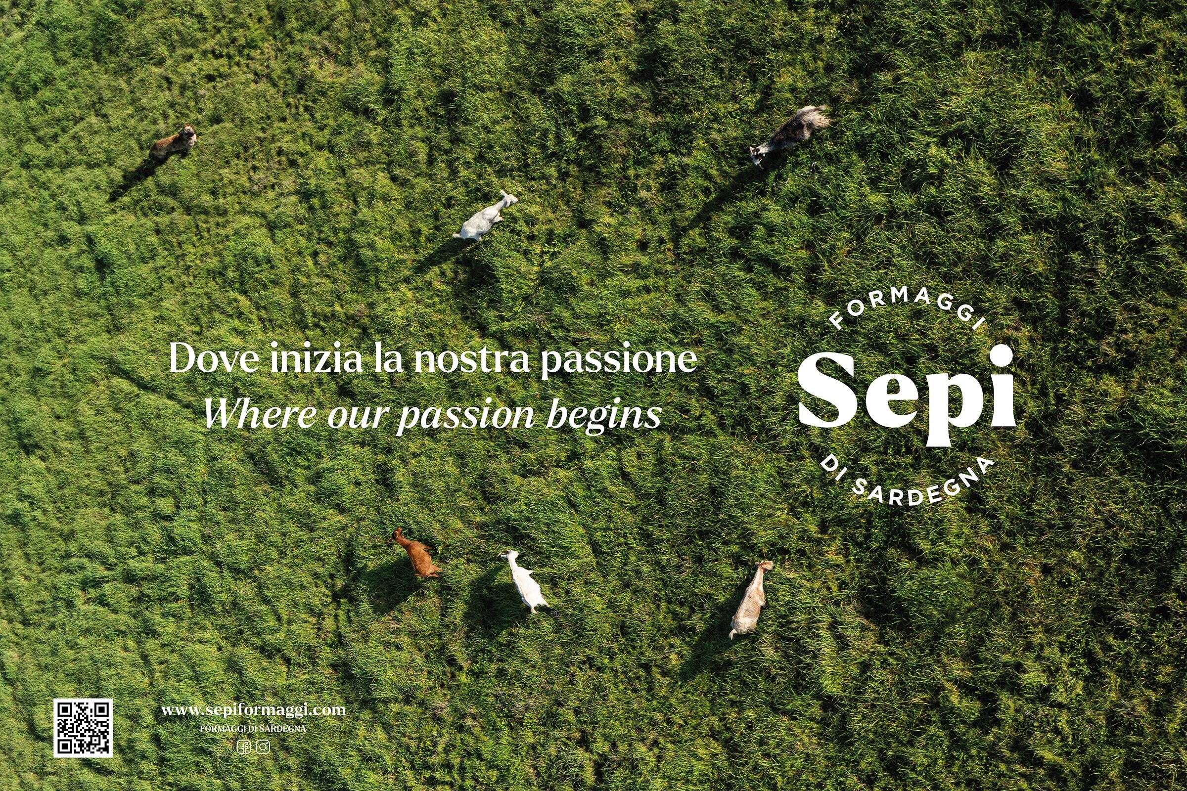 Sepi formaggi visual by SEDPLUS Agenzia creativa
